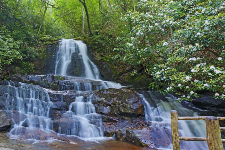Top 6 Most Beautiful Waterfalls in the Smoky Mountains
